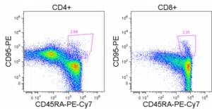Human PBMC MemoryStemTcells resized 600