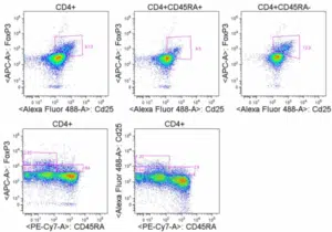 Treg Identification FoxP3 CD25 CD45RA resized 600