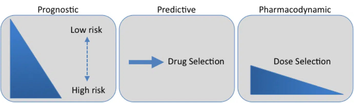 Cancer Biomarkers: How they are used for personalized medicine 1 types_of_biomarkers_uses.jpg