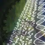 dna sequencing