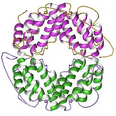 interferon gamma