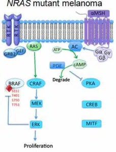 NRAS mutation resized 600