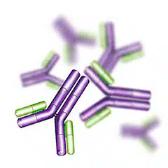 Artifacts and non-specific staining in flow cytometry, Part I