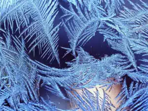 Christmas frost