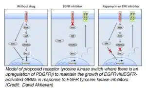 EGFR switch pic