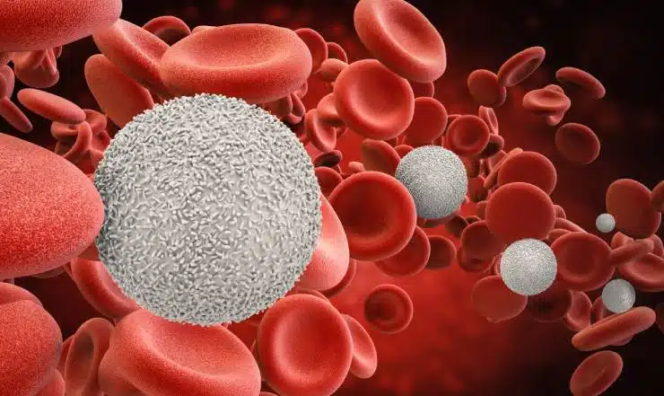 Ficoll is not Fickle: Reliable Isolation of PBMCs From Whole Blood 1 Ficoll Separation Principle