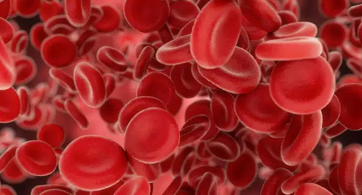 Hemolyzed Blood: What Hemolysis Means for Your Research Samples