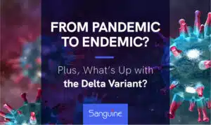 From Pandemic to Endemic Blog Website 2nd option