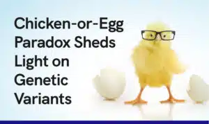 Chicken or Egg Paradox Sheds Light on Genetic Variants 1st option 1