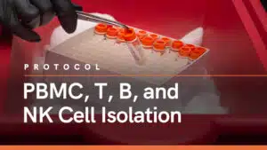 PBMC T B and NK Cell Isolation Option 1