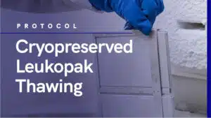 Cryopreserved Leukopak Thawing Protocol Option 2