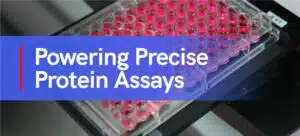 Powering Precise Protein Assays 1 Powering Precise Protein Assays Option 1