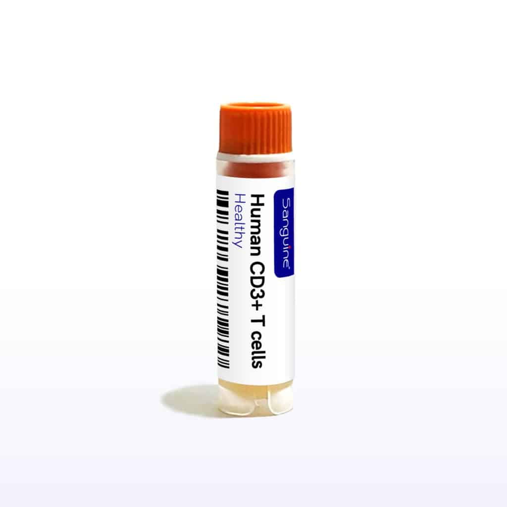 Healthy CD3+ T Cells
