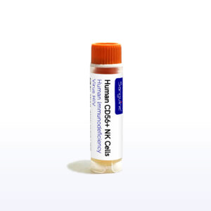 Human Immunodeficiency Virus HIV CD56+ NK Cells