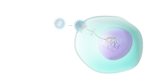Gene therapy hero