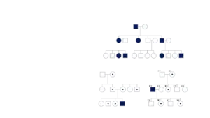 Mendelian inheritance hero