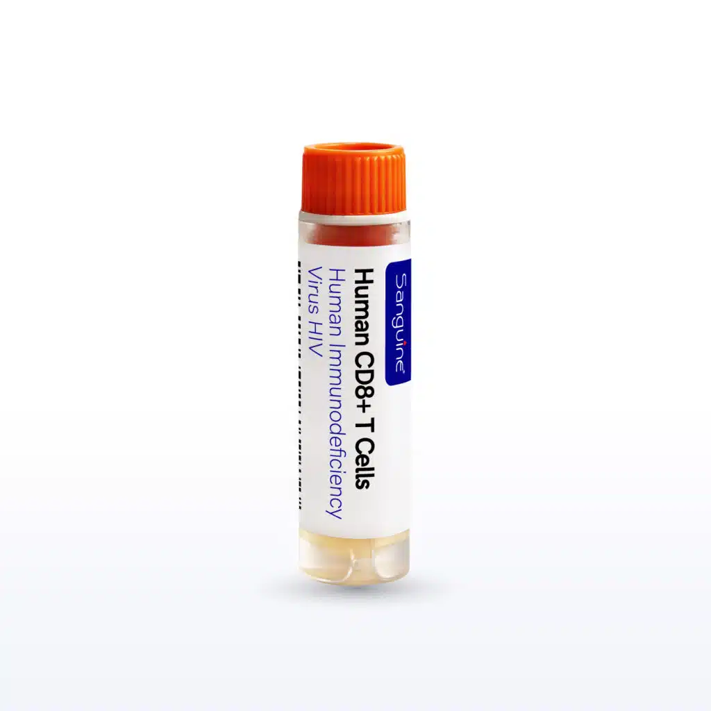 Human Immunodeficiency Virus HIV CD8+ T Cells
