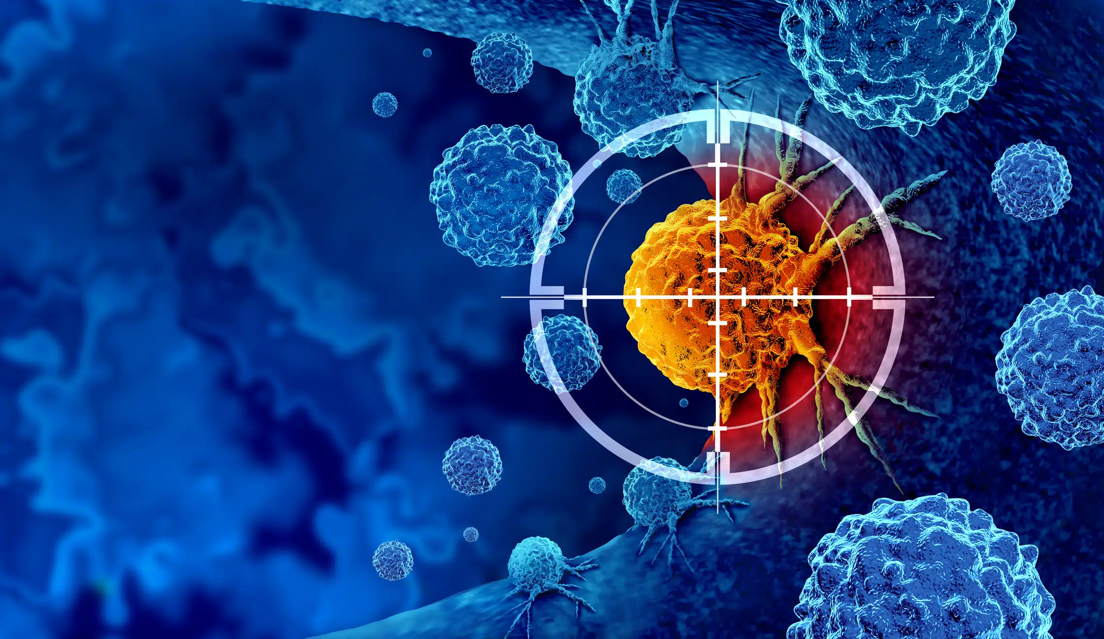 CD8+ T Cells in Cancer Immunotherapy: A Researcher’s Guide to Cytotoxic T Cells