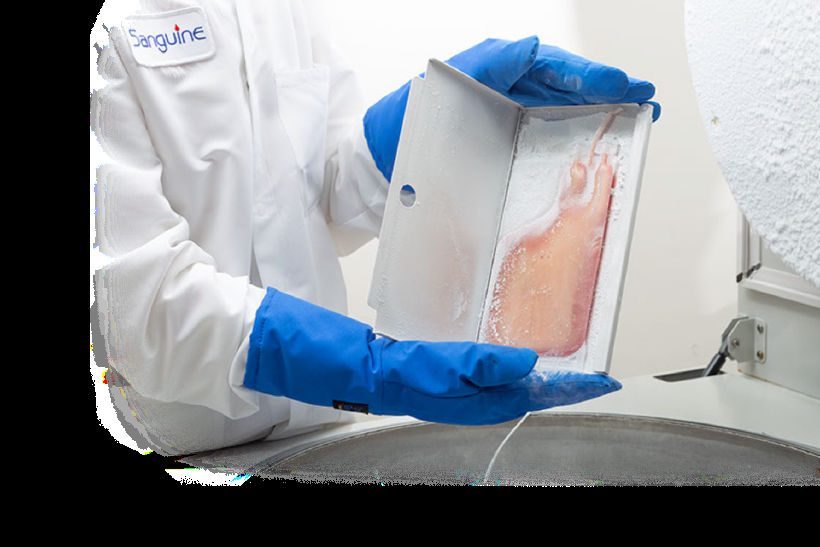 Apheresis Portfolio — Leukopaks & Leukopak-derived PBMCs 3 GMP cleanroom apheresis collection