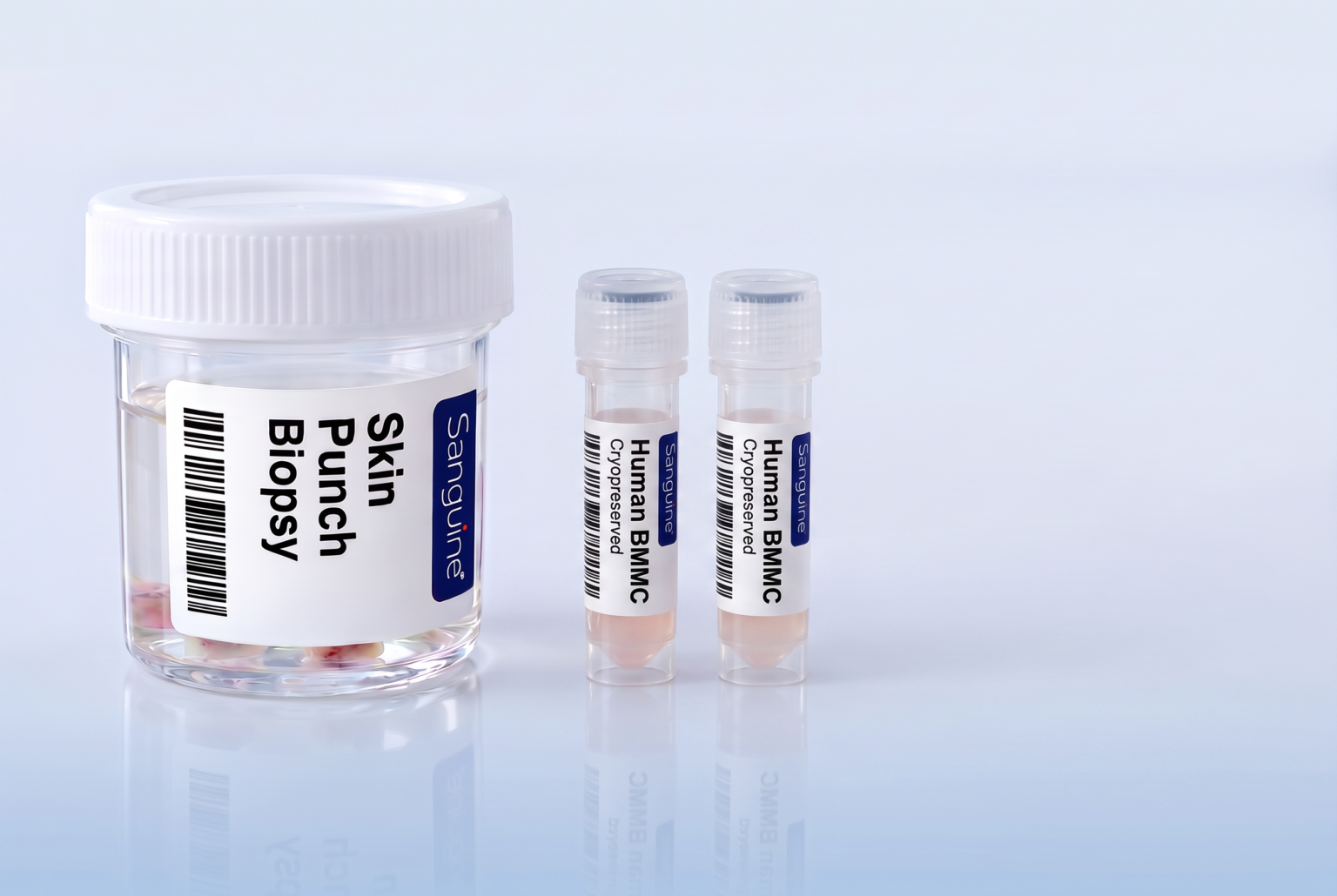Skin punch biopsy and bone marrow samples in standard laboratory containers