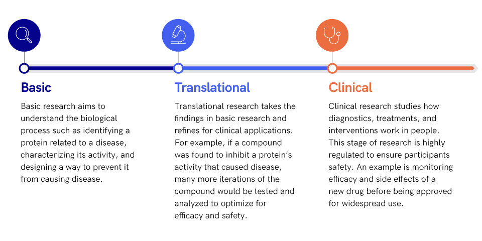 Type of Research - Option 2